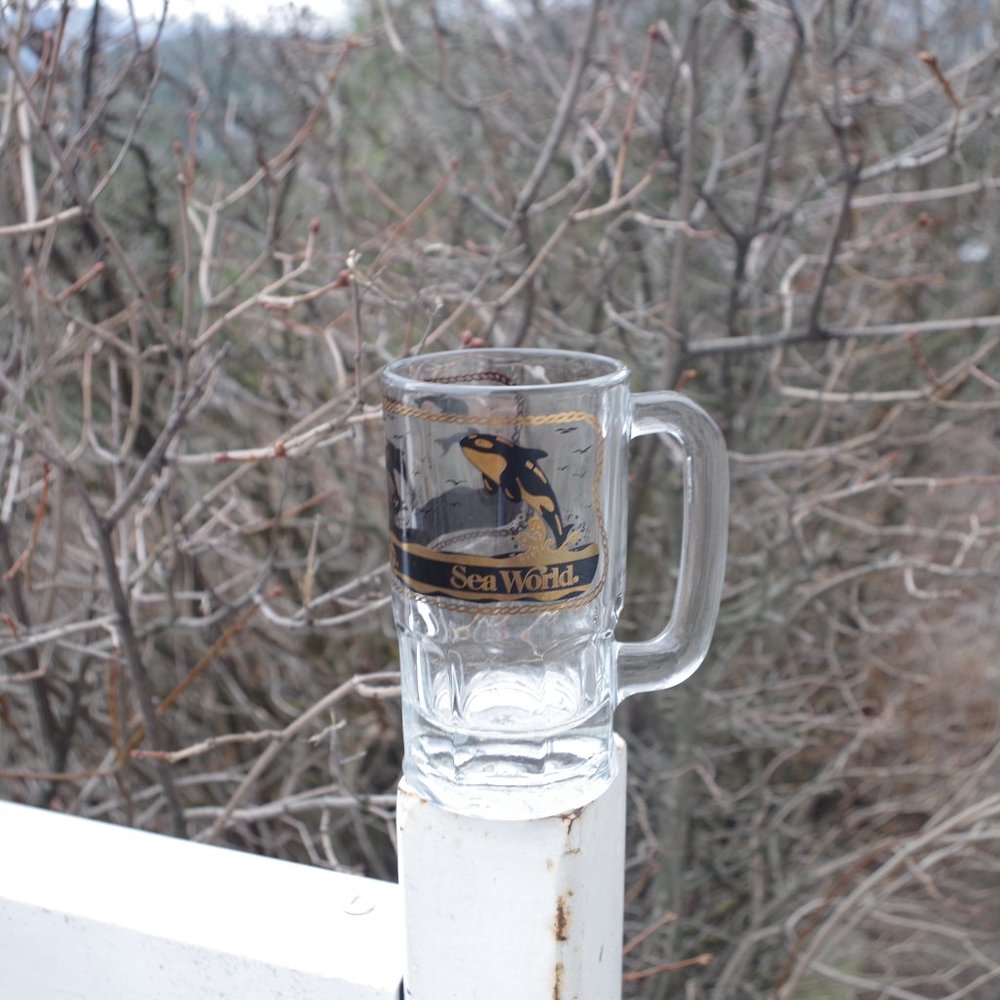 Sea World Collector's Mug With Killer Whale